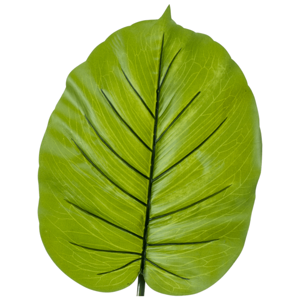 Alocasia blad - kunstplant