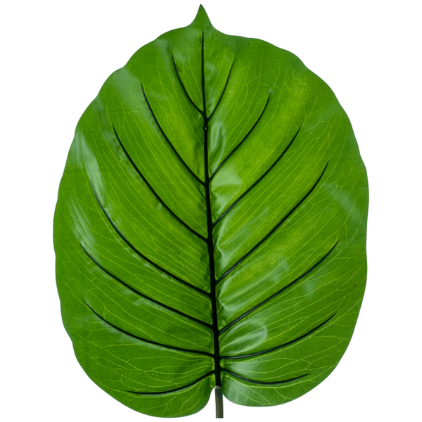 Alocasia blad - kunstplant