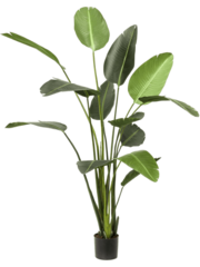 Grote kunstplanten