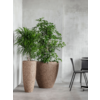 Nature Cast 110 cm | Ø 33 cm - Long skinny