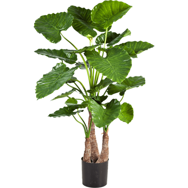 Alocasia Calidora met stammen - kunstplant