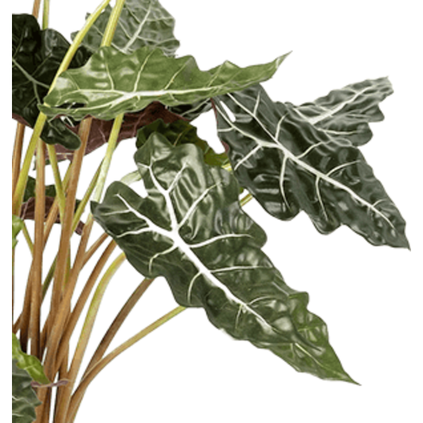 Alocasia Polly - kunstplant