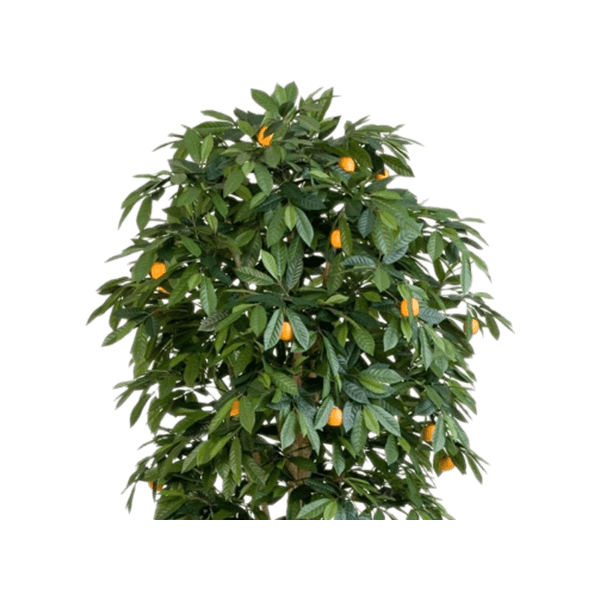 Citrus Mandarine - kunstplant