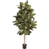 Ficus Elastica variegata - kunstplant