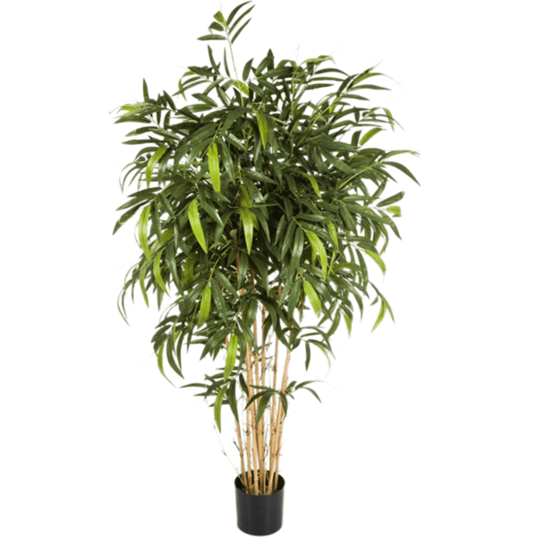 New Natural Bamboo XL - kunstplant