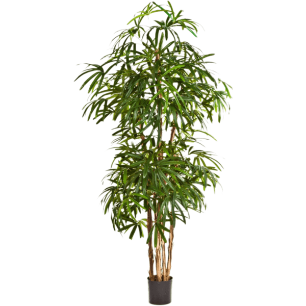 Natural Rhapis Palm XL - kunstplant
