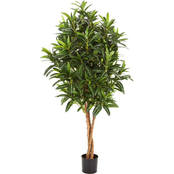 Croton Goldfinger - kunstplant
