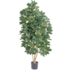 Natural Schefflera XL - kunstplant