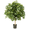Giant Ball Schefflera variegata - kunstplant