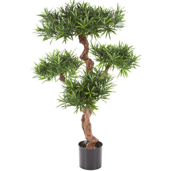 Podocarpus Mountain - kunstplant