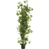 Cissus Plant - kunstplant