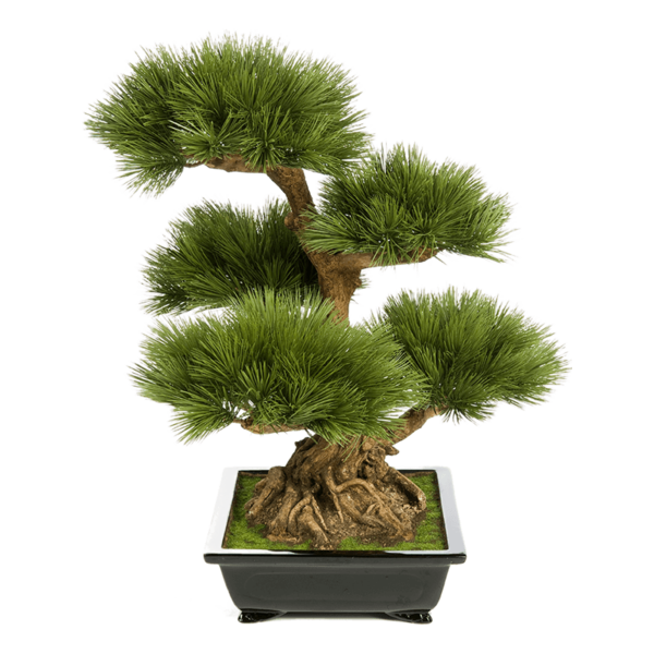 Pinus Bonzai Tree - kunstplant