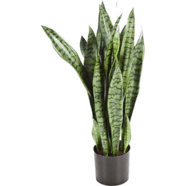 Sansevieria - kunstplant
