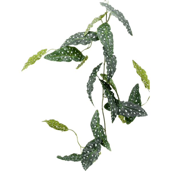 Begonia Maculata - kunstplant