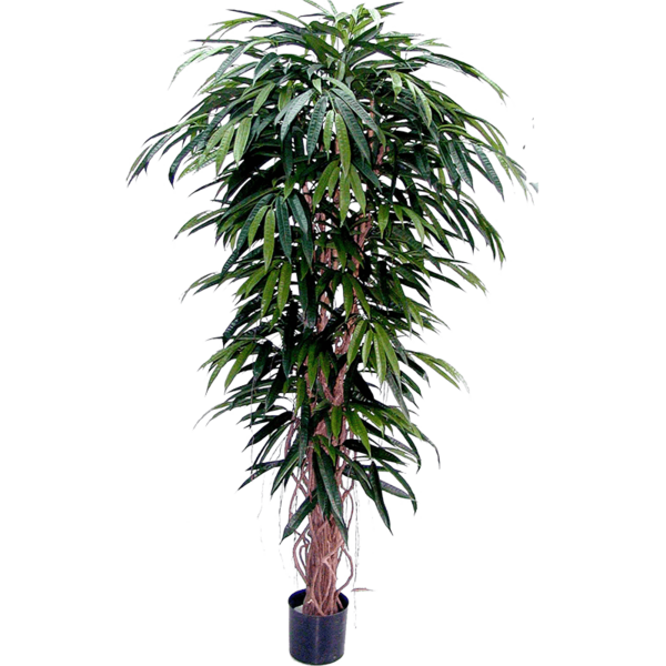 Longifolia Liane de Luxe - kunstplant
