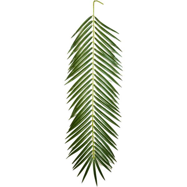 Phoenix Palm Spray - kunstplant