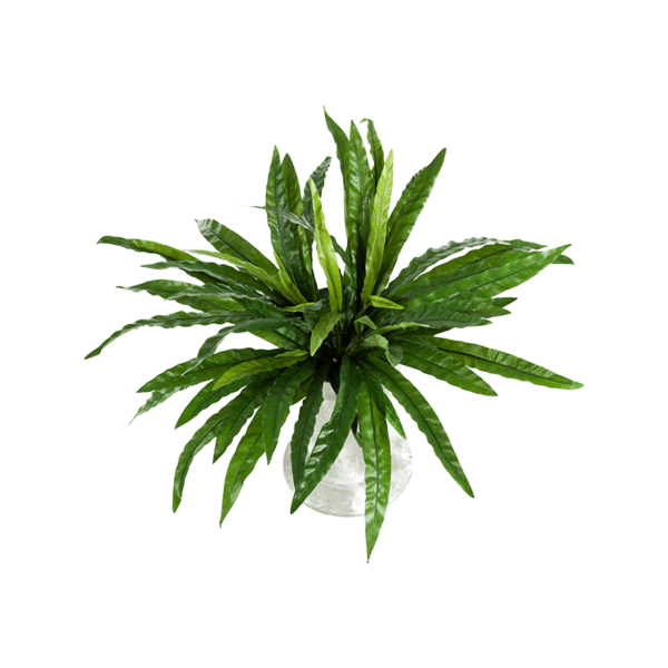 Asplenium - kunstplant