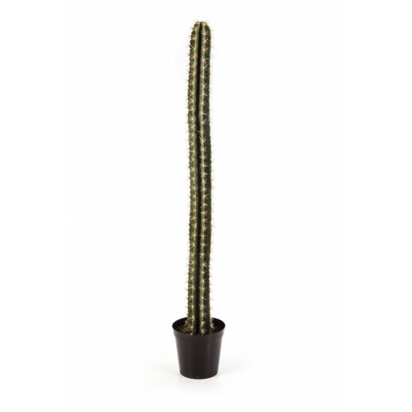  Cactus XL - kunstplant