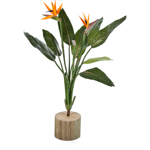 Strelitzia Reginae Small - kunstplant