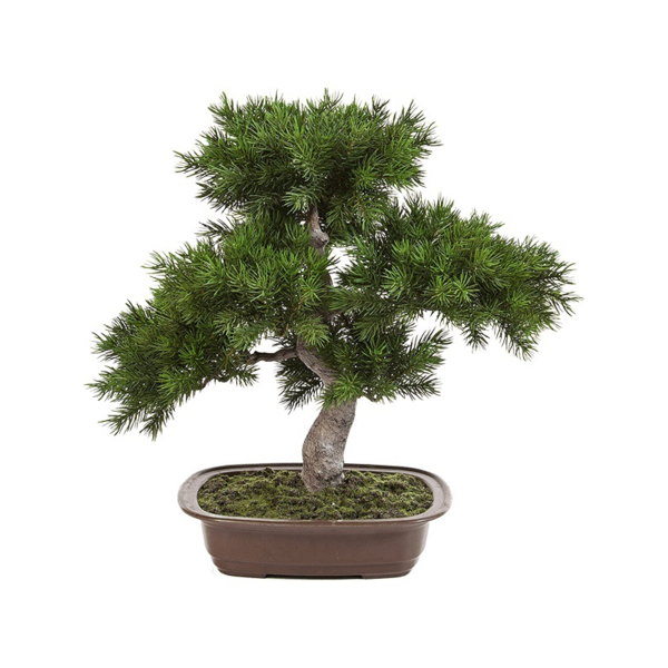 Bonsai Pinus - kunstplant