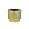 Luxe Gold Pentola Ø 20 cm