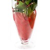 Anthurium Rood in vaas Majest