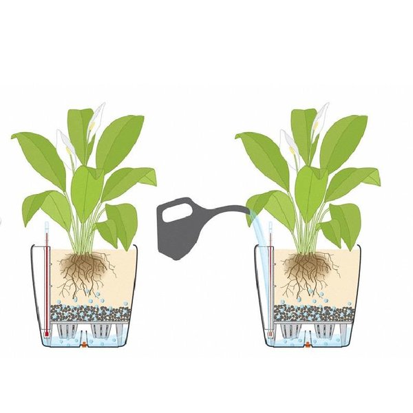 Lechuza Spathiphyllum in watergevende pot Classico