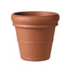 Terracotta Doppio Bordo