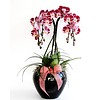 Orchidee Red Waterfall in pot Black