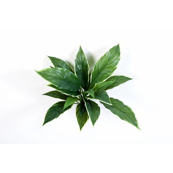 Cordyline - kunstplant