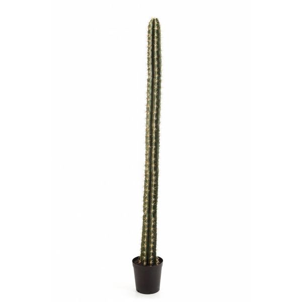 Cactus - kunstplant