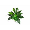 Spathiphyllum - kunstplant