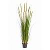Grass Foxtail - kunstplant
