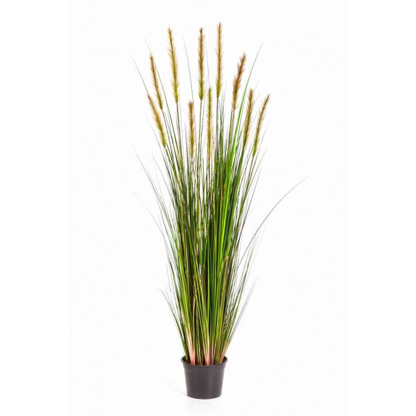 Grass Foxtail - kunstplant