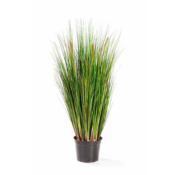 Grass Foxtail - kunstplant