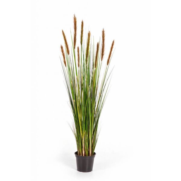 Grass Foxtail Orange/Brown - kunstplant