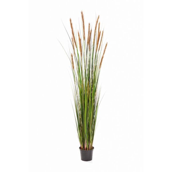 Grass Foxtail - kunstplant