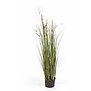 Grass Coral Cream - kunstplant