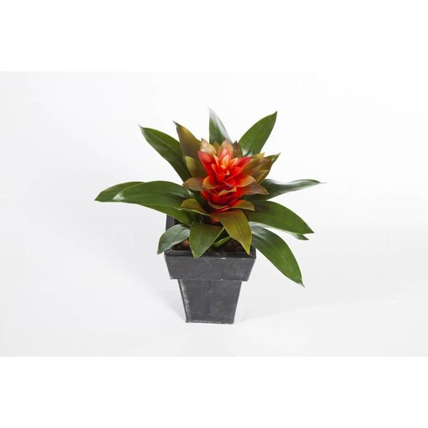 Bromelia - kunstplant