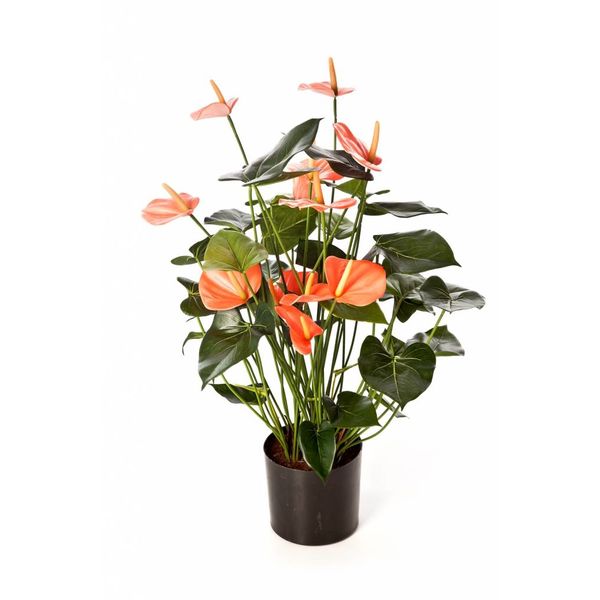 Anthurium de Luxe - kunstplant