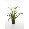 Cymbidium Wild Orchid - kunstplant
