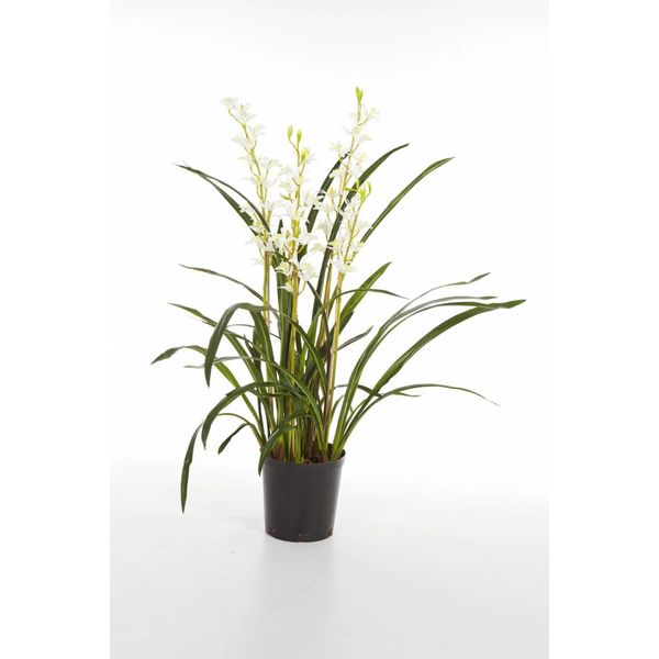 Cymbidium Wild Orchid - kunstplant