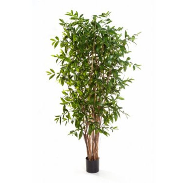Dracaena Surculosa Tree - kunstplant