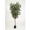 Natural Olive - kunstplant