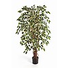 Ficus Liana var. - kunstplant