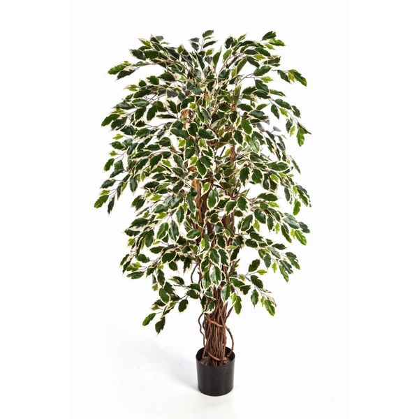 Ficus Liana var. - kunstplant