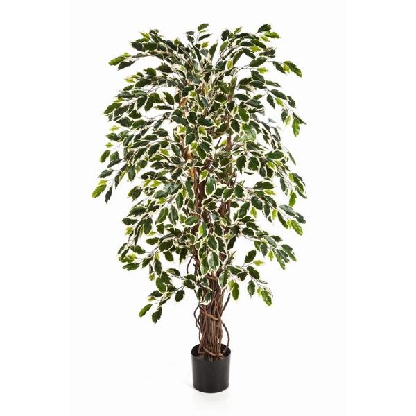 Ficus Liana var. - kunstplant