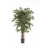 Ficus Liana Exotica - kunstplant