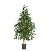 Natural Exotica - kunstplant