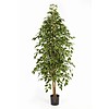 Natural Exotica - kunstplant